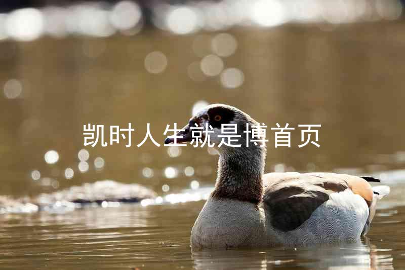 凯时人生就是博首页